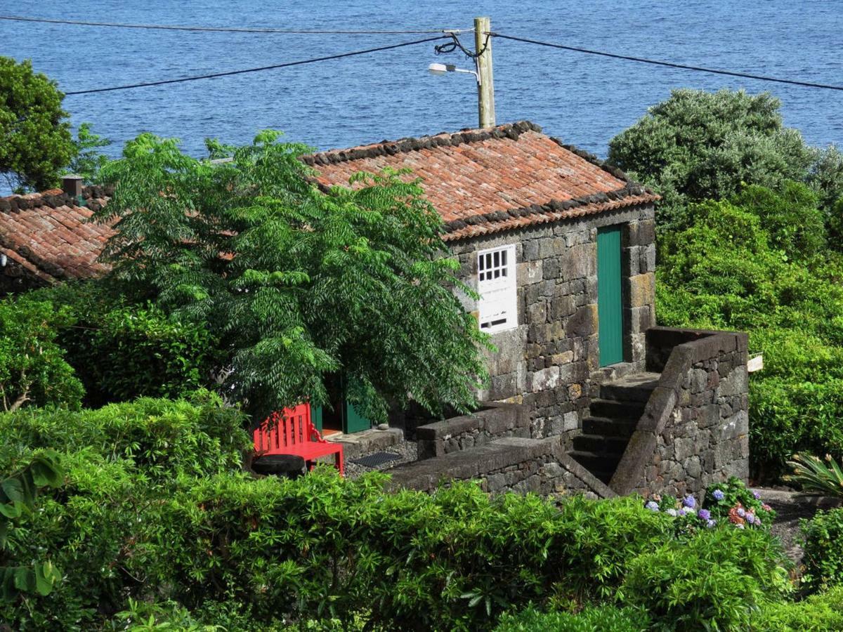 Casa Adega Alto Do Passinho * Terra Alta